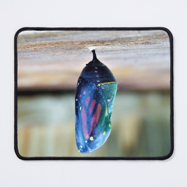 Item preview, Monarch Colorful Cocoon designed and sold by PetPeevee.