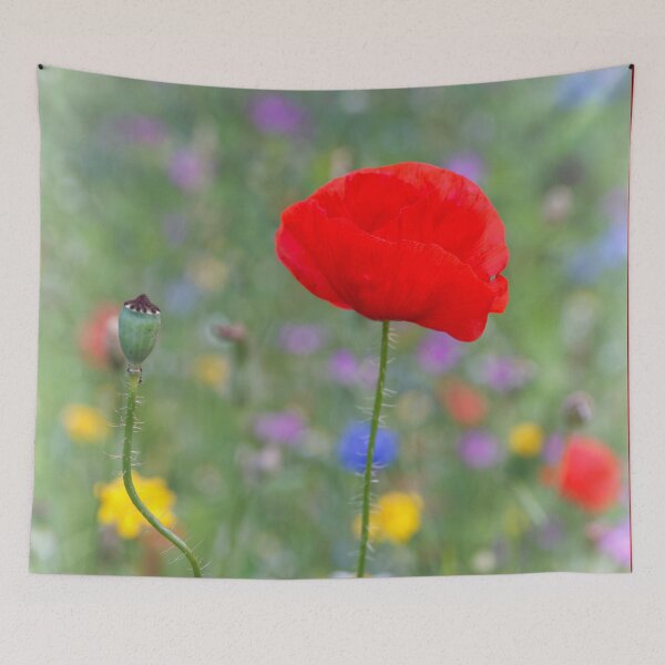 Item preview, Poppy designed and sold by heidipics.