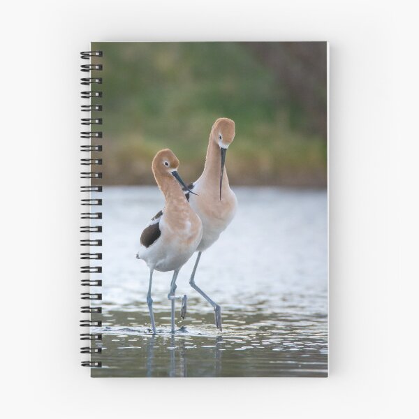 Item preview, Avocet couple designed and sold by Eivor Kuchta.
