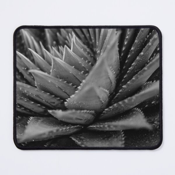 Item preview, Timeless Modernity: The Minimalist Masterpiece. designed and sold by Count Timer.