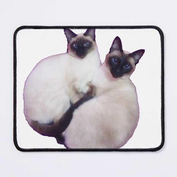 Item preview, Double Delight: Siamese Duo Sticker designed and sold by BeniSof.