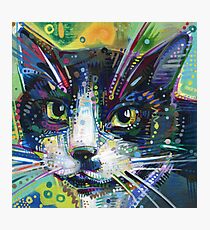 Tuxedo cat painting - 2011 Photographic Print