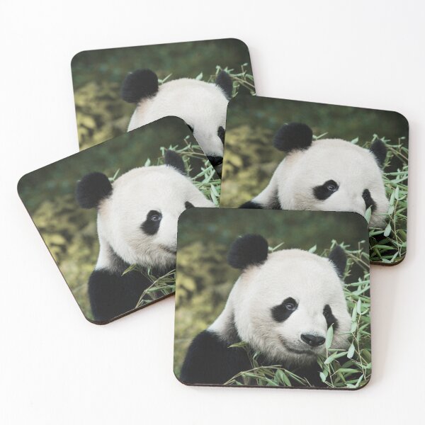 Item preview, Panda-dorable Cute Panda in the Bamboo Shoots  designed and sold by ToadsWorkshop.