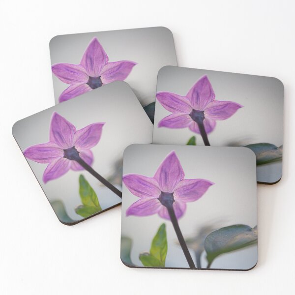 Item preview, Blooming Bold designed and sold by metriognome.