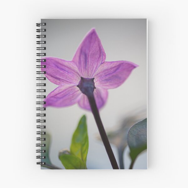 Item preview, Blooming Bold designed and sold by metriognome.