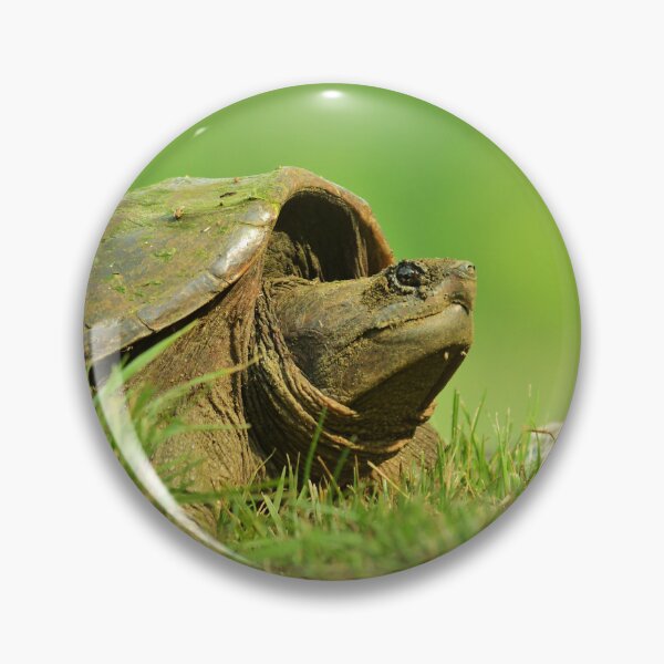 Item preview, Snapping Turtle  designed and sold by WWbugsandslugs.