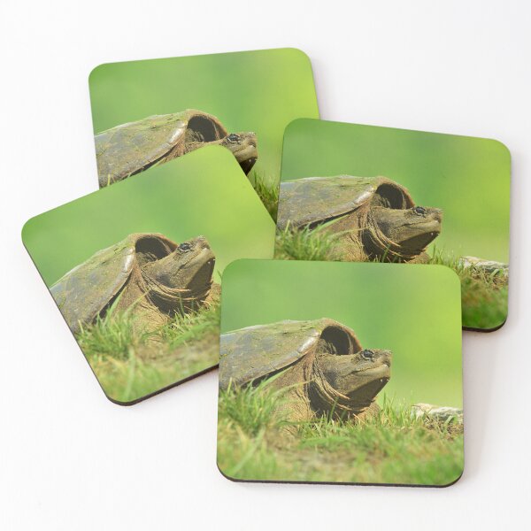Item preview, Snapping Turtle  designed and sold by WWbugsandslugs.