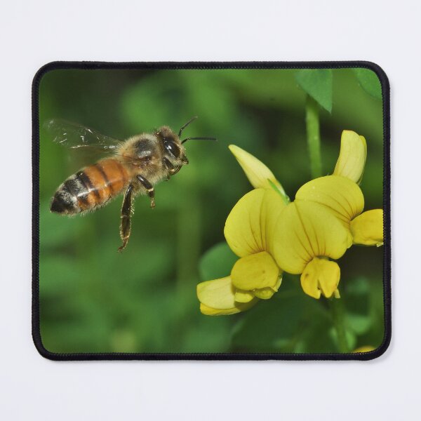 Item preview, Flight of the Honeybee   designed and sold by WWbugsandslugs.