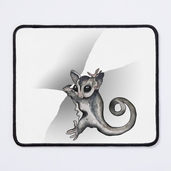 Item preview, My Sugar Glider designed and sold by kamkam19.