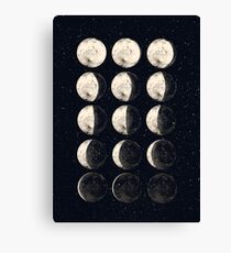 Moon Cycle Canvas Print