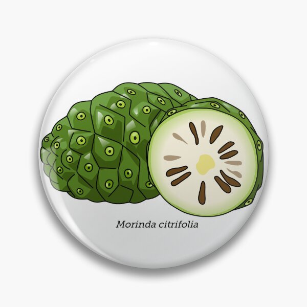 Item preview, Morinda - vomit fruit designed and sold by Wittylot.