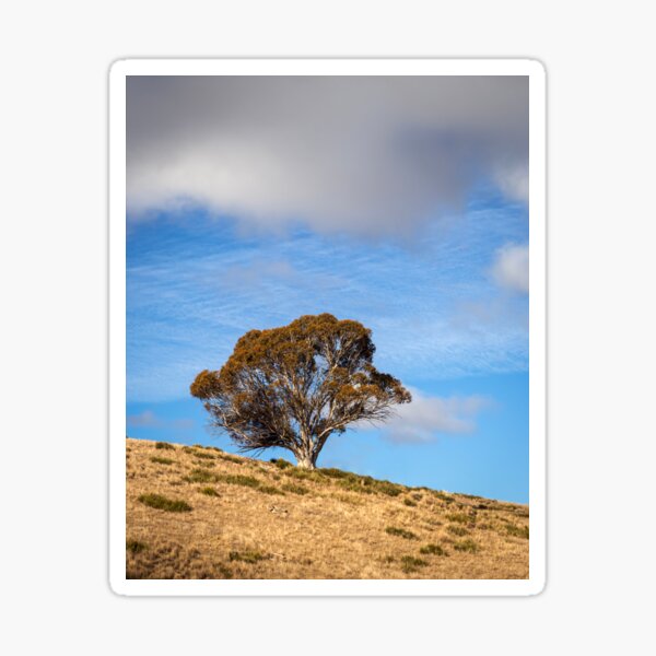 Item preview, Tree And Clouds designed and sold by Geoff Wols.