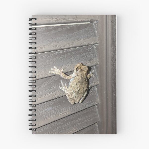 Item preview, frog designed and sold by NikkieColla.