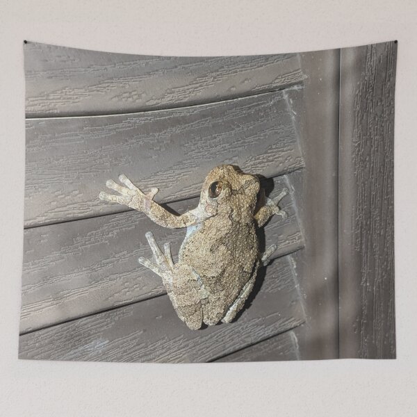 Item preview, frog designed and sold by NikkieColla.
