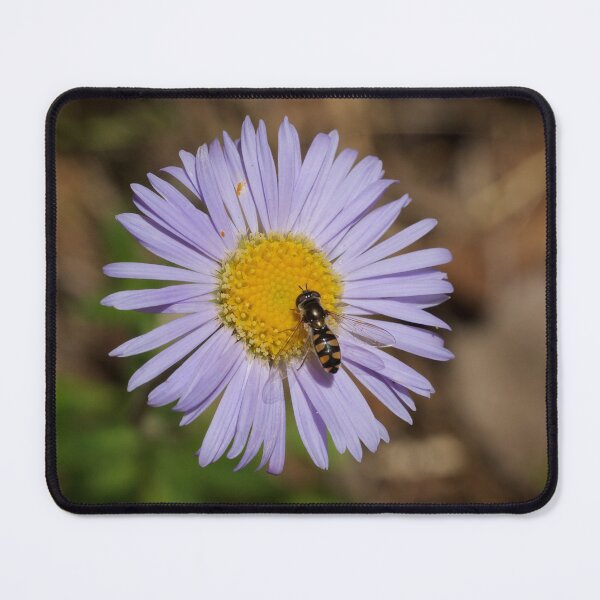 Item preview, The Hover Fly designed and sold by D-GaP.