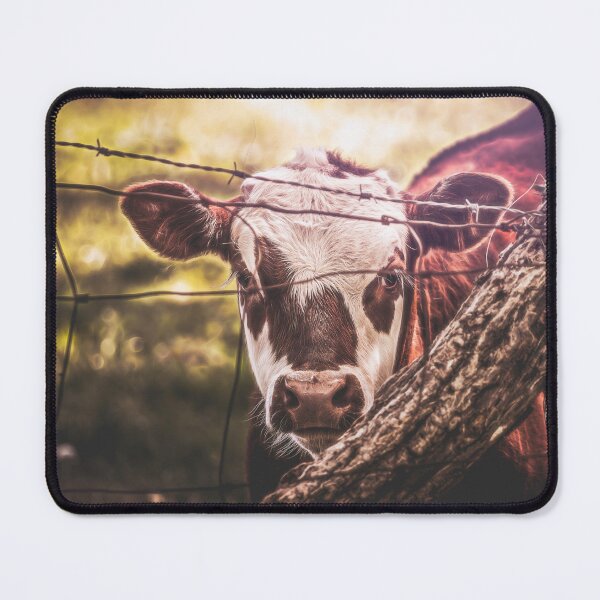Item preview, Silent Observation designed and sold by Jim Love.