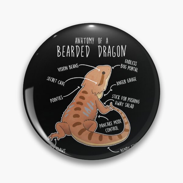 Item preview, Bearded Dragon Lizard Reptile Anatomy designed and sold by Clara Hollins.