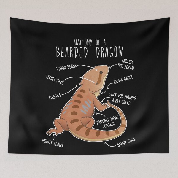 Item preview, Bearded Dragon Lizard Reptile Anatomy designed and sold by Clara Hollins.