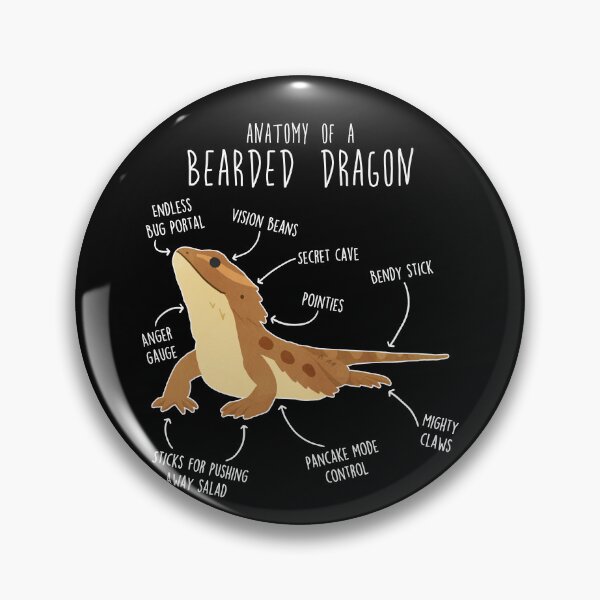 Item preview, Bearded Dragon Lizard Reptile Anatomy designed and sold by Clara Hollins.