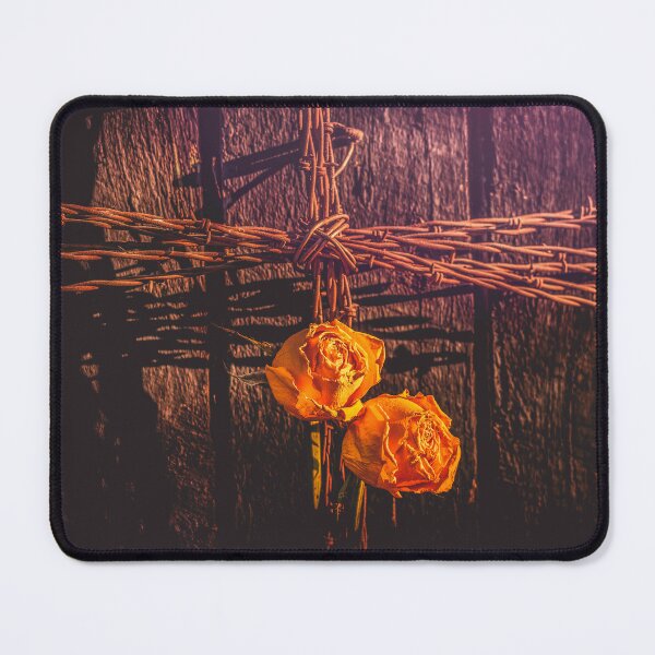 Item preview, Barbwire And Roses designed and sold by Jim Love.