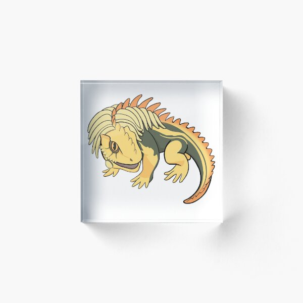 free download jagras