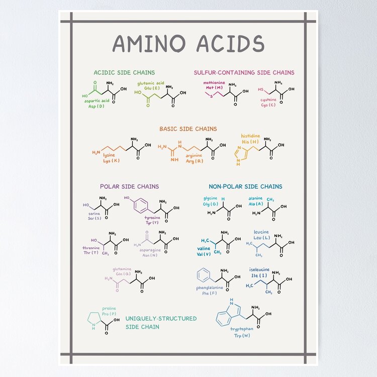 Amino Acid Groups Mouse Pad