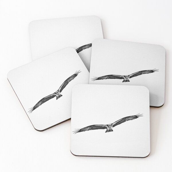 Item preview, Osprey in flight designed and sold by SRosuphotos.