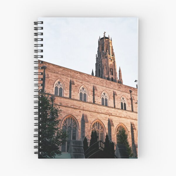 Item preview, Basilica of Hamilton  designed and sold by SRosuphotos.