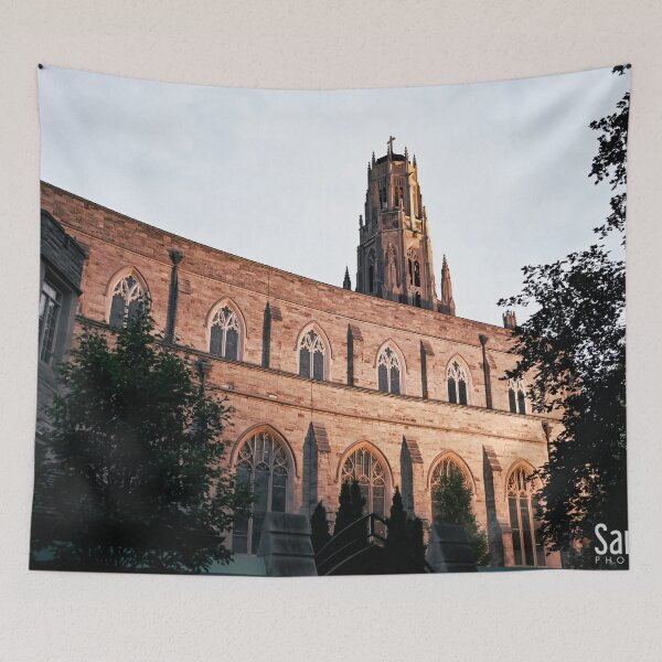 Item preview, Basilica of Hamilton  designed and sold by SRosuphotos.