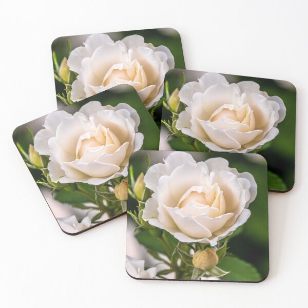 Item preview, Rose In Vanilla  designed and sold by barkeypf.
