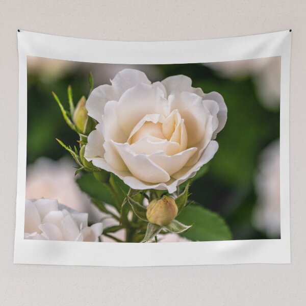 Item preview, Rose In Vanilla  designed and sold by barkeypf.