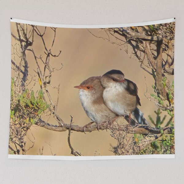 Item preview, Baby Fairywrens having a cuddle designed and sold by GiantPaul.