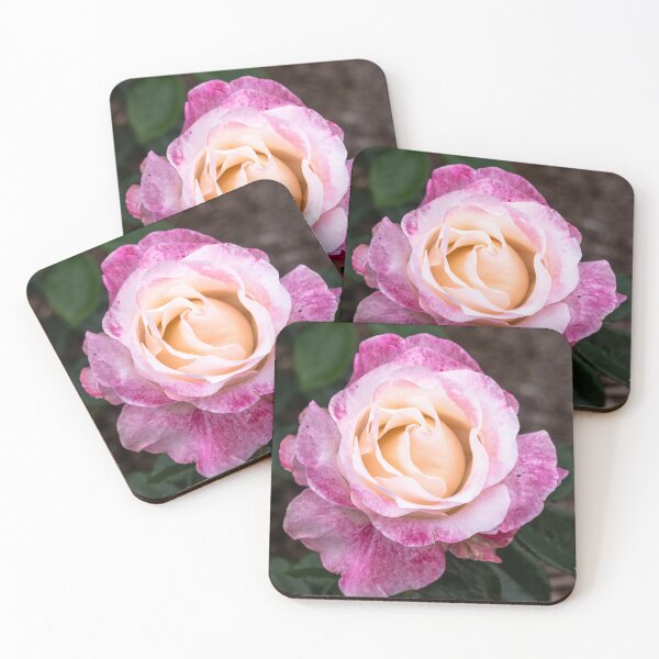 Item preview, Rose Peach Magenta designed and sold by barkeypf.