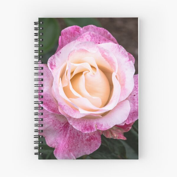 Item preview, Rose Peach Magenta designed and sold by barkeypf.