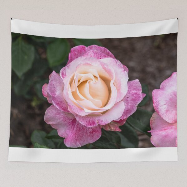 Item preview, Rose Peach Magenta designed and sold by barkeypf.