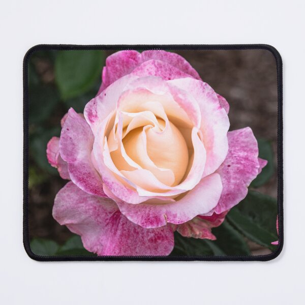 Item preview, Rose Peach Magenta designed and sold by barkeypf.