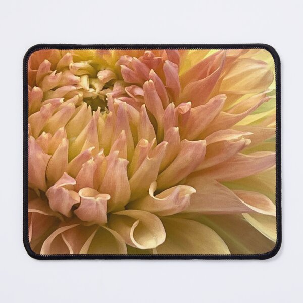 Item preview, Pink & Yellow Macro Dahlia Flower  designed and sold by Sonya Umble.