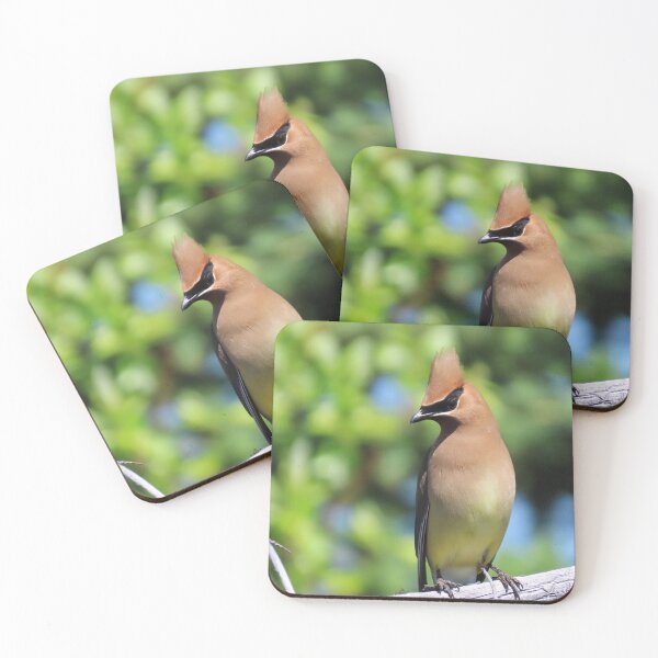 Item preview, Cedar Waxwing enjoying the sun  designed and sold by DigitalGen.