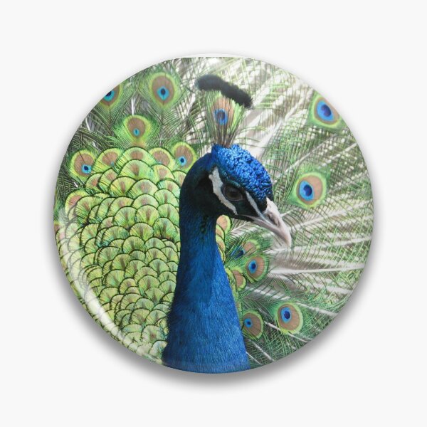 Item preview, Peacock designed and sold by Beth Tidd.