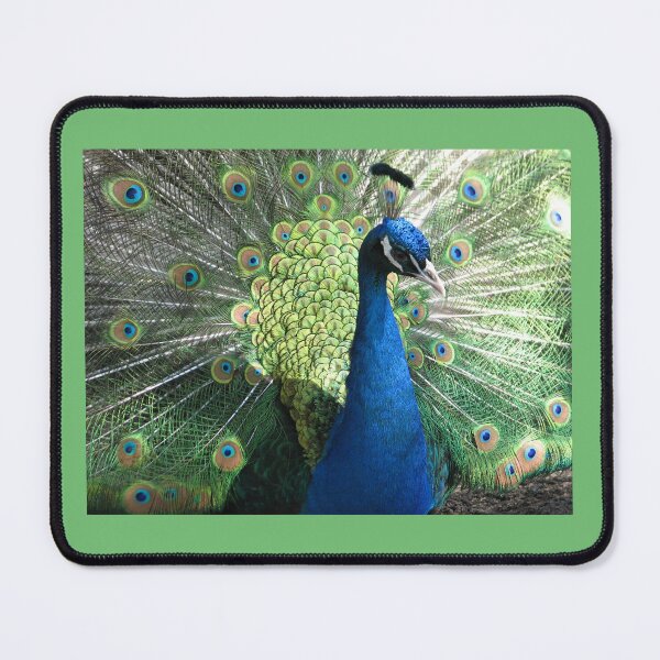 Item preview, Peacock designed and sold by Beth Tidd.