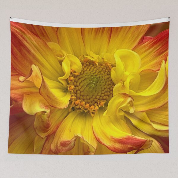 Item preview, Red and Yellow Macro Dahlia  designed and sold by Sonya Umble.