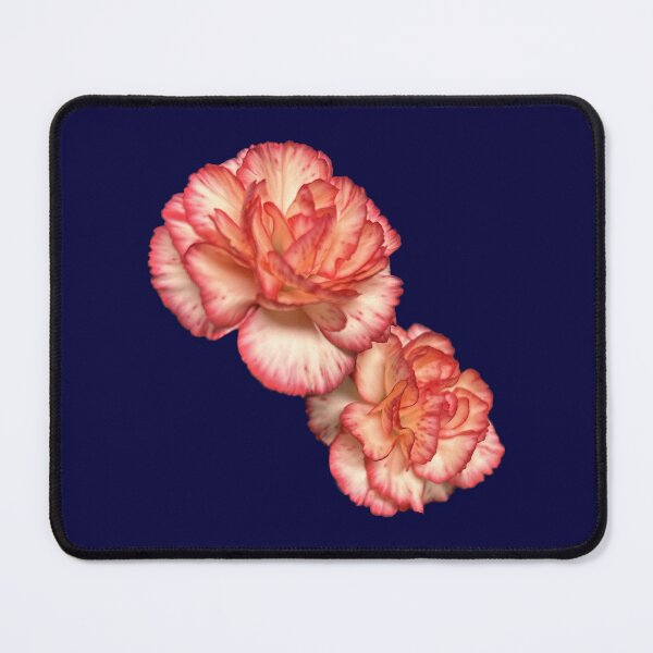 Item preview, Carnations designed and sold by DentistArt2022.