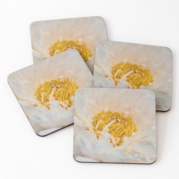 Item preview, White Peony - Georgeson Botanical Garden 2023 designed and sold by mahnkephotos.
