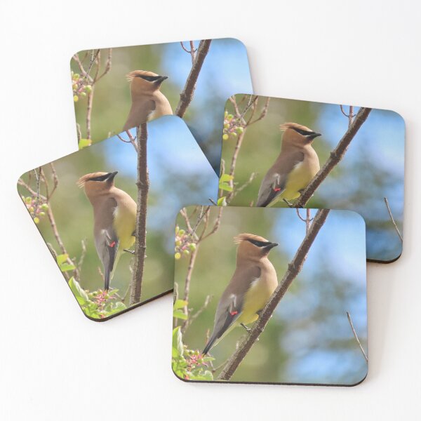 Item preview, Cedar Waxwing on a branch designed and sold by DigitalGen.