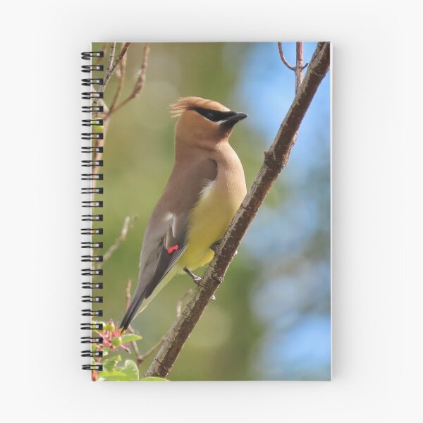 Item preview, Cedar Waxwing on a branch designed and sold by DigitalGen.