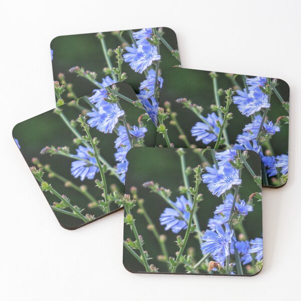 Item preview, Chicory in the wind designed and sold by DigitalGen.