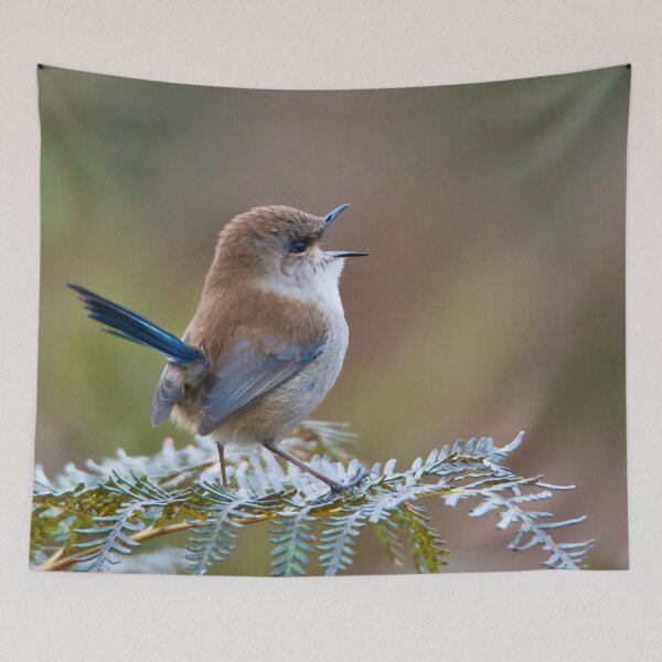 Item preview, The Superb Fairywren. Small bird, big voice.  designed and sold by GiantPaul.