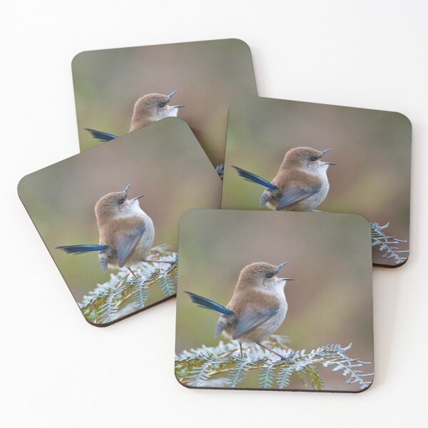 Item preview, The Superb Fairywren. Small bird, big voice.  designed and sold by GiantPaul.
