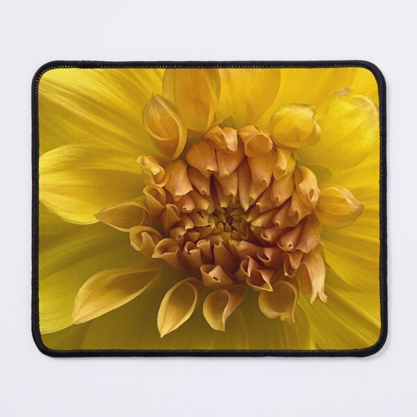 Aperçu de l'œuvre Fleur de dahlia macro jaune créée et vendue par Sonya Umble.