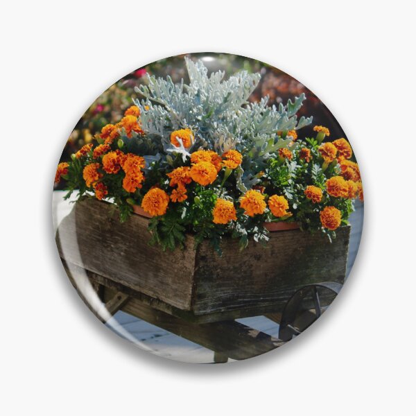 Item preview, Marigold wheelbarrow designed and sold by Beth Tidd.